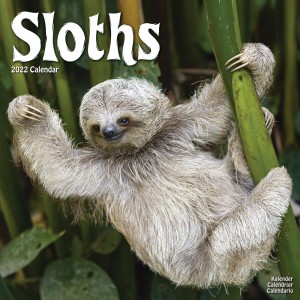 Sloths 2022 Wall